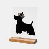 Terrier écossais (Angle)