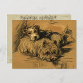  Terrier en Westie Briefkaart (Voorkant / Achterkant)