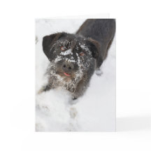 Terrier met sneeuwneusKerstmis