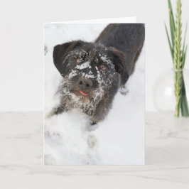 Terrier met sneeuwneusKerstmis Feestdagen Kaart