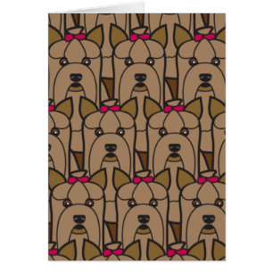 Terriers de Yorkshire