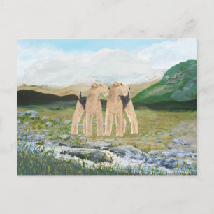 Terriers in Ierland Briefkaart