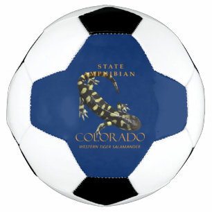 Territoire du Colorado Amphibien La Salamandre tig