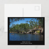 Territoire du Nord - Carte postale de Whistle Duck (Devant / Derrière)