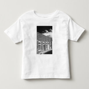 Territoriale stijl architectuur, Santa Fe, New Kinder Shirts