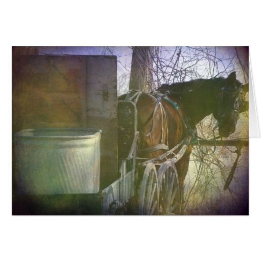 Terug (Voorkant Horizontaal)