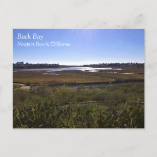 Terug Bay, Newport Beach, Californië Briefkaart