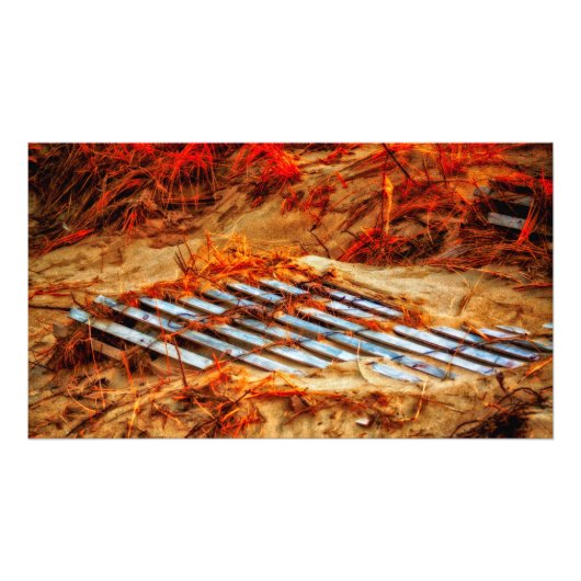 Terug naar de strand foto afdruk (Voorkant)