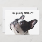 Terug naar School Boston Terrier Welkom Kaarten (Voorkant)