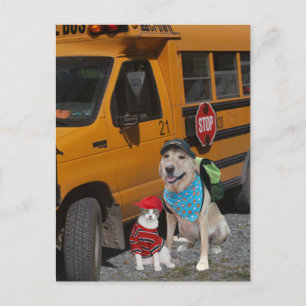 Terug naar School Briefkaart