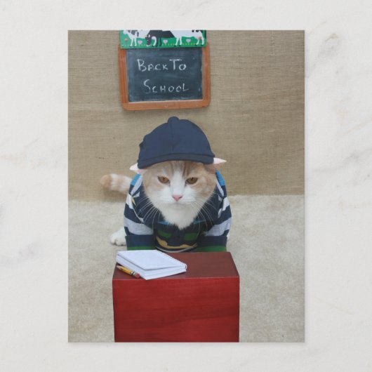 Terug naar School Bubba Briefkaart (Voorkant)