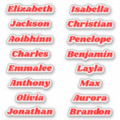 Terug naar School Custom Meerdere Naam Stickers (Voorkant)