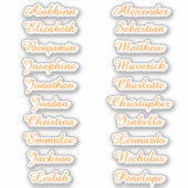 Terug naar School Custom Meerdere Naam Stickers (Voorkant)