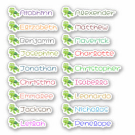 Terug naar School Custom Meerdere Namen Stickers