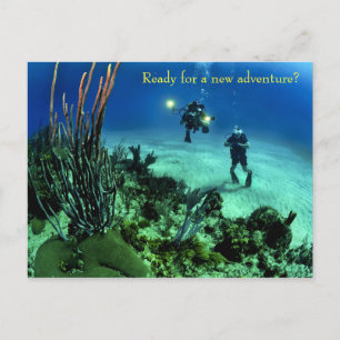 Terug naar Schooldiep Zee duikavontuur Briefkaart