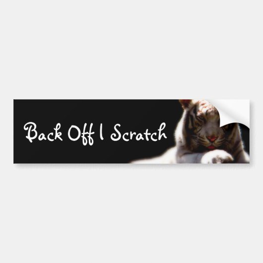 Terug van Tiger Bumpersticker (Voorkant)