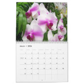 Terug Veranda Orchideeën Kalender (Mar 2026)