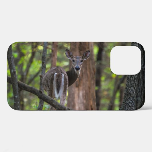 Terugblik schilderachtig iPhone Case (Achterkant (horizontaal))