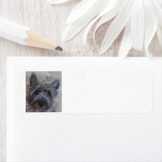 Teruggaveadreslabel van hondenliefhebber etiket (Insitu)