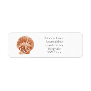 Teruggaveadreslabel van Scallop Shell Etiket