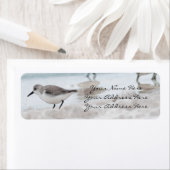 Teruggaveadreslabels Sandpiper Etiket (Insitu)