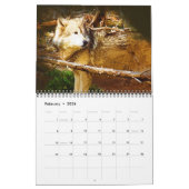 Terugkeer van de Grijze Wolf Kalender (Feb 2026)
