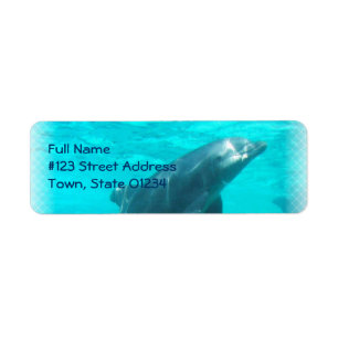 Terugzendlabel zwemDolphin Etiket
