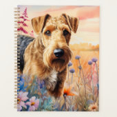 Tervueren Airedale dans une prairie de fleurs sauv (Devant)