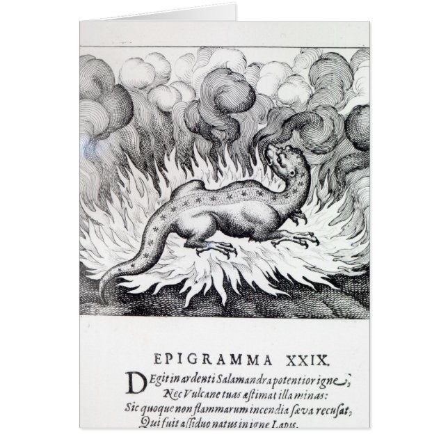 Terwijl de Salamander in brand leeft (Voorkant)