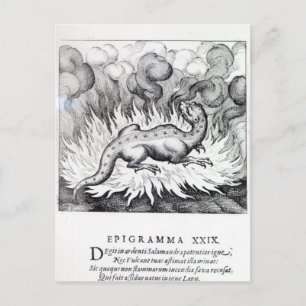 Terwijl de Salamander in brand leeft Briefkaart