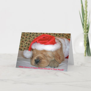 "Terwijl de Visies van suiker-Pruimen in Hun… Feestdagen Kaart