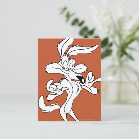 TERWIJL E. COYOTE™ er tevreden uitziet Briefkaart (Staand voorkant)