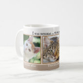 Tes 3 Drôle Chat Photos Beige Ivory Striped Mug (Devant gauche)