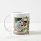 Tes 3 Drôle Chat Photos Beige Ivory Striped Mug (Gauche)