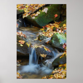 Teskawata Herfsten Poster