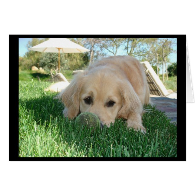 Tess' Dog Days (Voorkant Horizontaal)