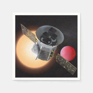 TESS Planet Hunter Spacecraft Servet