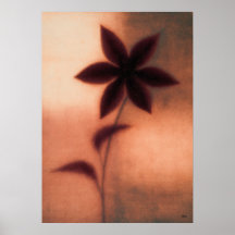 Tessen Clematis Japanse Bloemige Abstractie