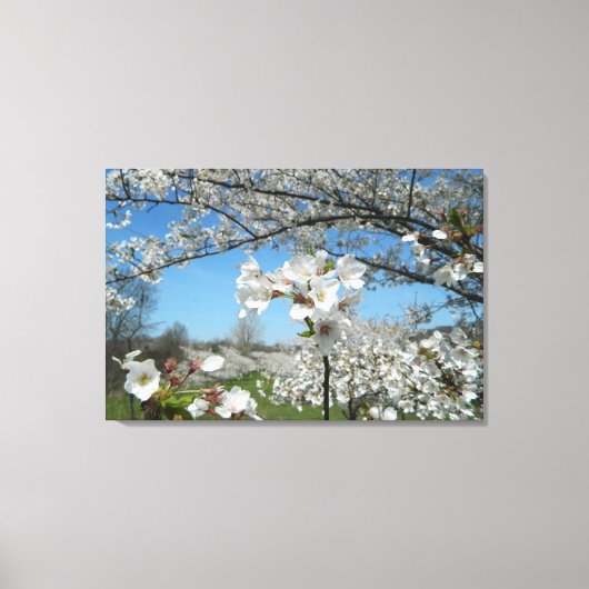 Tessy Blossom Valley Enveloppé toile Imprimer (Recto)
