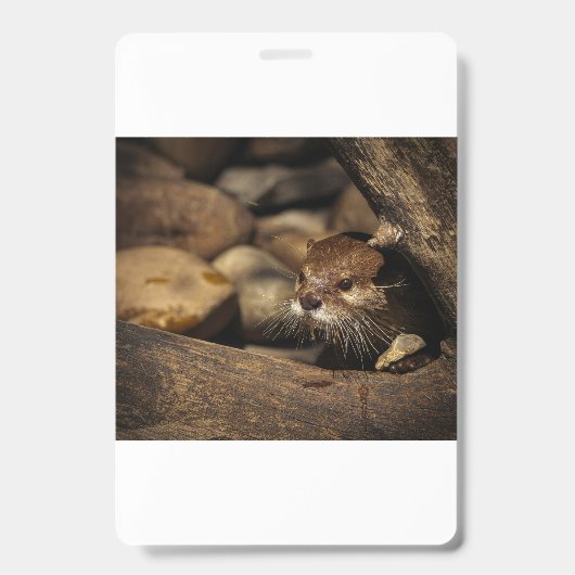 test badge (Voorzijde)