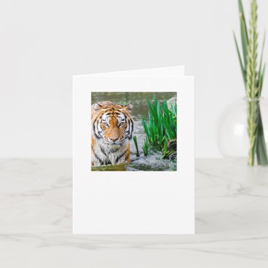 test bedankkaart (Voorkant)