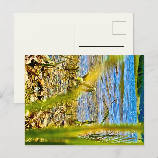 Test Briefkaart (Voorkant / Achterkant)