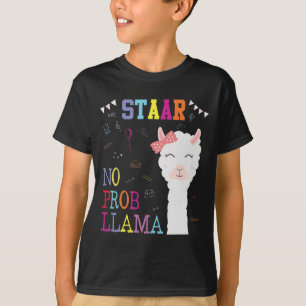 Test Day Squad Geen Prob-Llama Leerkracht Student T-shirt