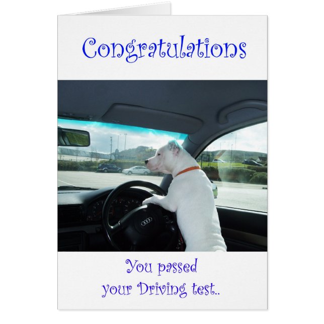 Test de conduite avec succès Cleo (Devant)