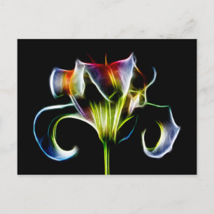 Test Post Card Briefkaart