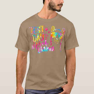 Testdag leraar T testdag geen Prob Llama T-shirt