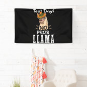 Testdag: Prob Llama Llama Lover Spandoek (Insitu)