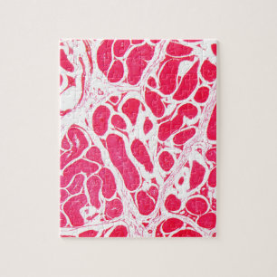 Testicelcellen onder microscoop legpuzzel