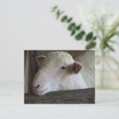 Testlamp Briefkaart (Staand voorkant)