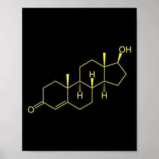 Testosteron Molecule Biologie Wetenschap Bodybuild Poster (Voorkant)